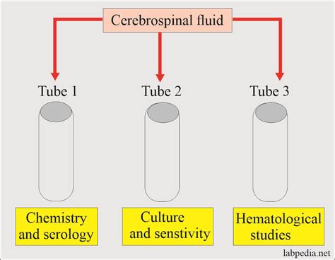 specimen bottle for spinal fluid test|Cerebrospinal Fluid Analysis .